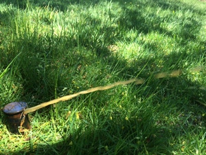 one spray head of an irrigation system, squirting water