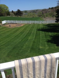 green lush lawn, thanks to Dependable Landscaping
