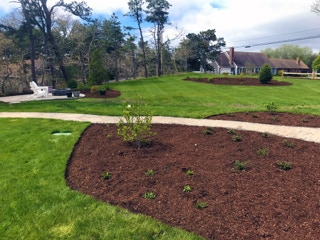 green lush lawn, thanks to Dependable Landscaping