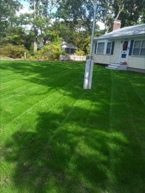 green lush lawn, thanks to Dependable Landscaping